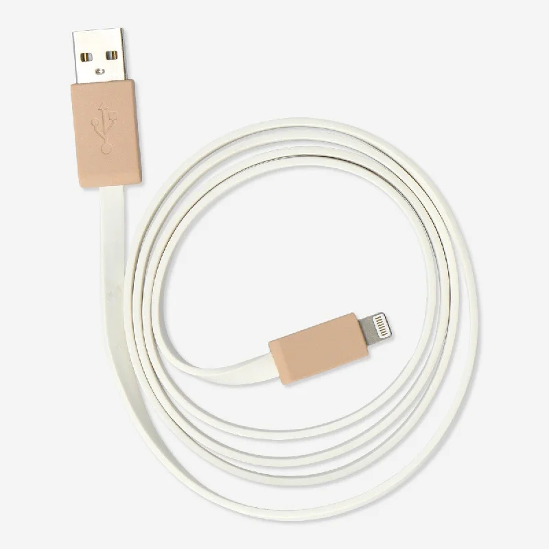 USB charging cable. Lightning stick